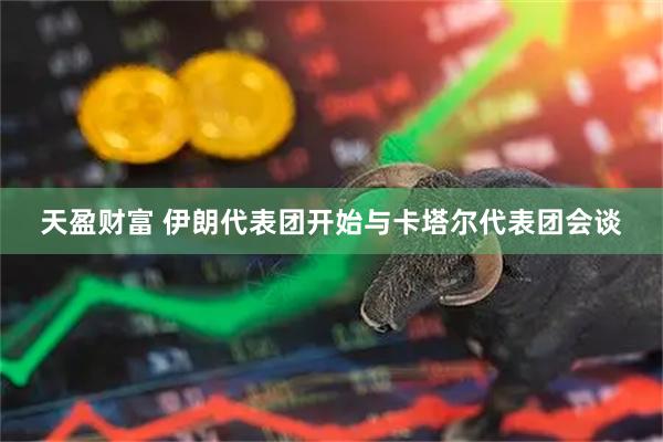 天盈财富 伊朗代表团开始与卡塔尔代表团会谈