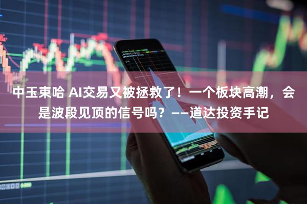 中玉束哈 AI交易又被拯救了！一个板块高潮，会是波段见顶的信号吗？——道达投资手记