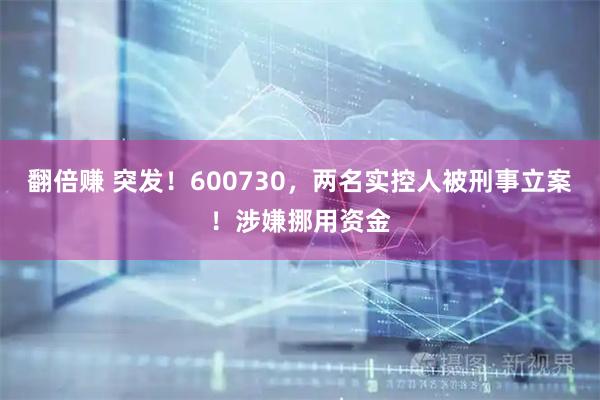 翻倍赚 突发!600730,两名实控人被刑事立案!涉嫌挪用资金